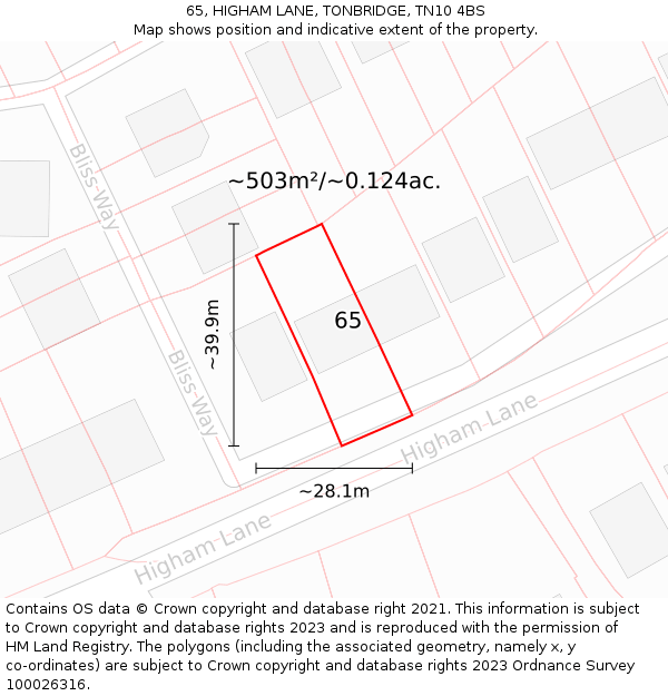 65, HIGHAM LANE, TONBRIDGE, TN10 4BS: Plot and title map