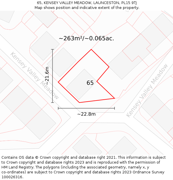 65, KENSEY VALLEY MEADOW, LAUNCESTON, PL15 9TJ: Plot and title map