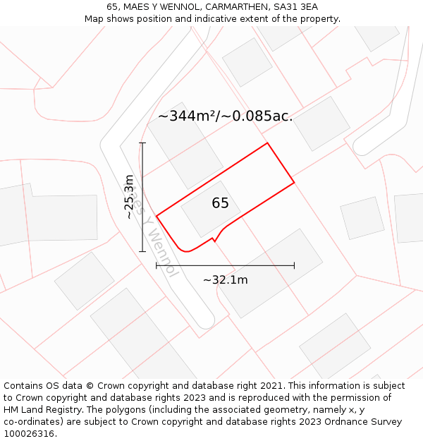 65, MAES Y WENNOL, CARMARTHEN, SA31 3EA: Plot and title map