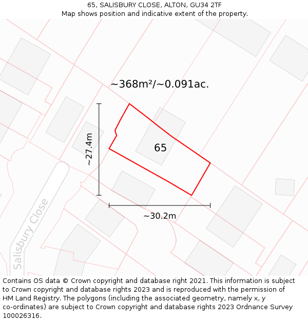 65, SALISBURY CLOSE, ALTON, GU34 2TF: Plot and title map