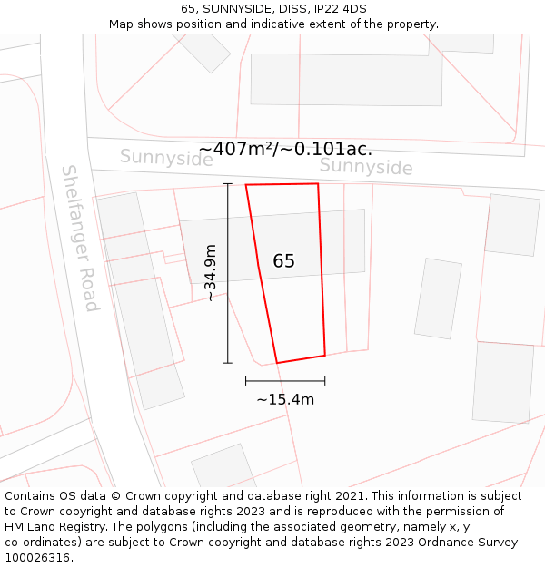 65, SUNNYSIDE, DISS, IP22 4DS: Plot and title map