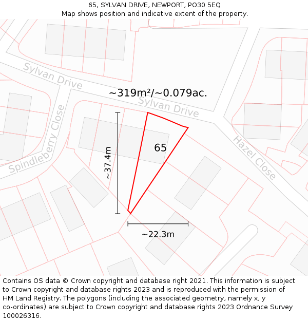 65, SYLVAN DRIVE, NEWPORT, PO30 5EQ: Plot and title map