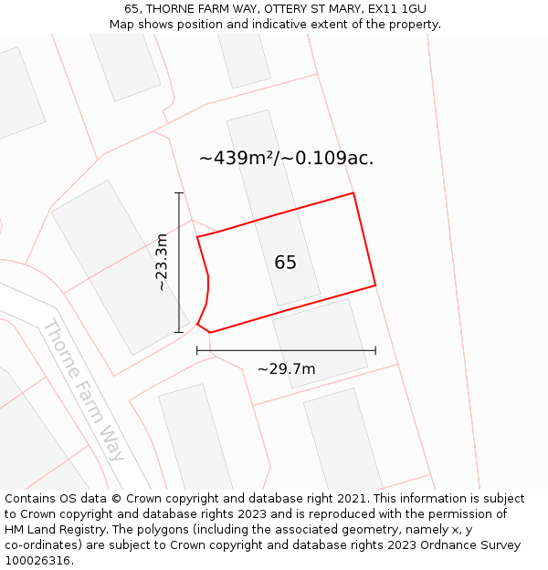 65, THORNE FARM WAY, OTTERY ST MARY, EX11 1GU: Plot and title map