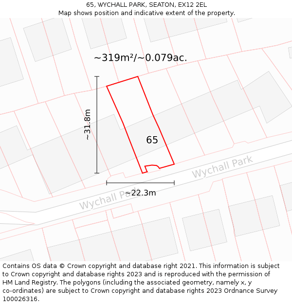 65, WYCHALL PARK, SEATON, EX12 2EL: Plot and title map