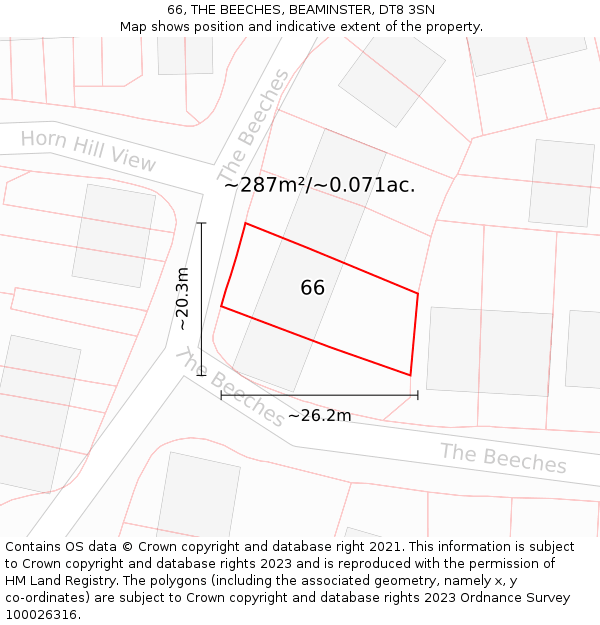 66, THE BEECHES, BEAMINSTER, DT8 3SN: Plot and title map