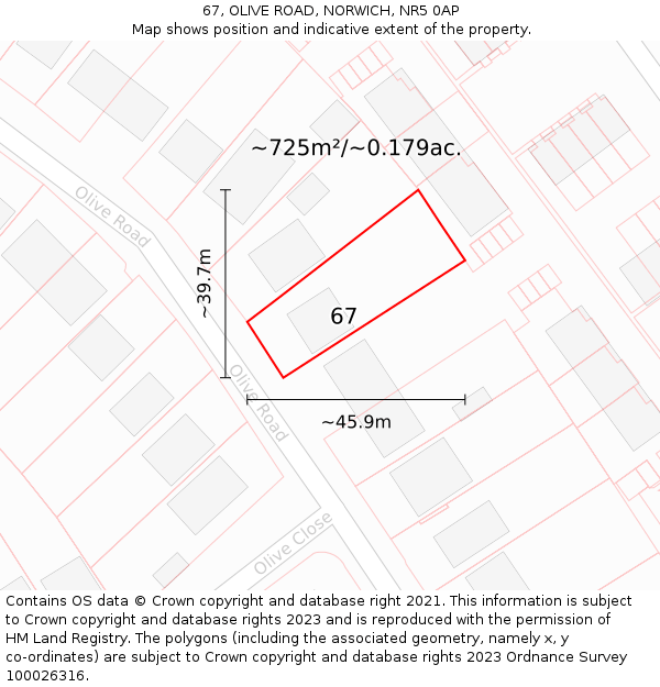 67, OLIVE ROAD, NORWICH, NR5 0AP: Plot and title map