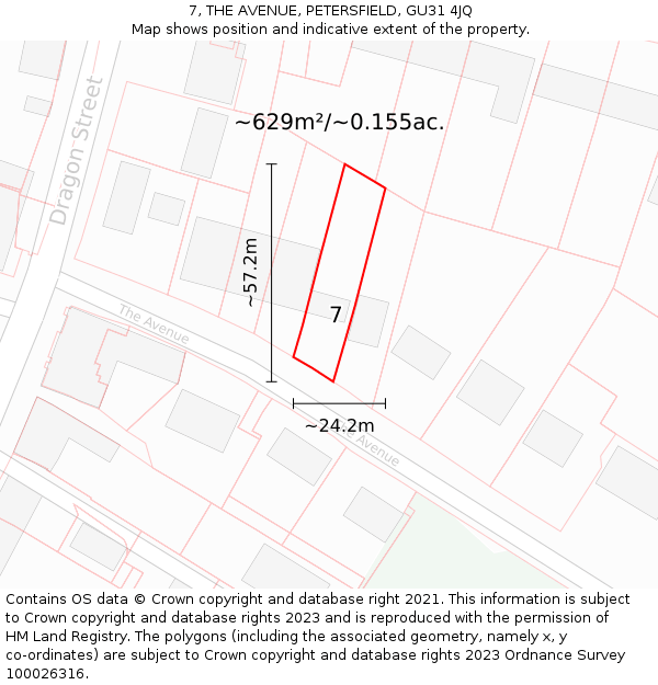 7, THE AVENUE, PETERSFIELD, GU31 4JQ: Plot and title map