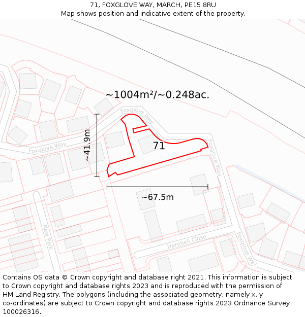 71, FOXGLOVE WAY, MARCH, PE15 8RU: Plot and title map