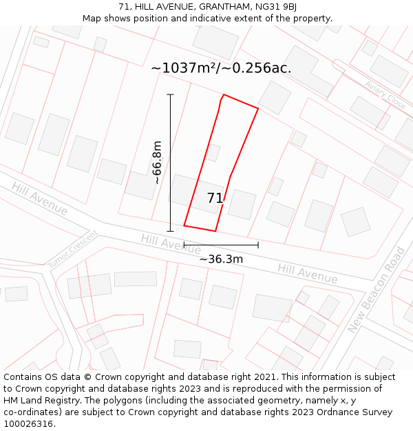 71, HILL AVENUE, GRANTHAM, NG31 9BJ: Plot and title map