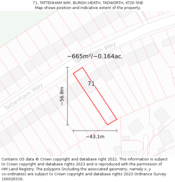 71, TATTENHAM WAY, BURGH HEATH, TADWORTH, KT20 5NE: Plot and title map