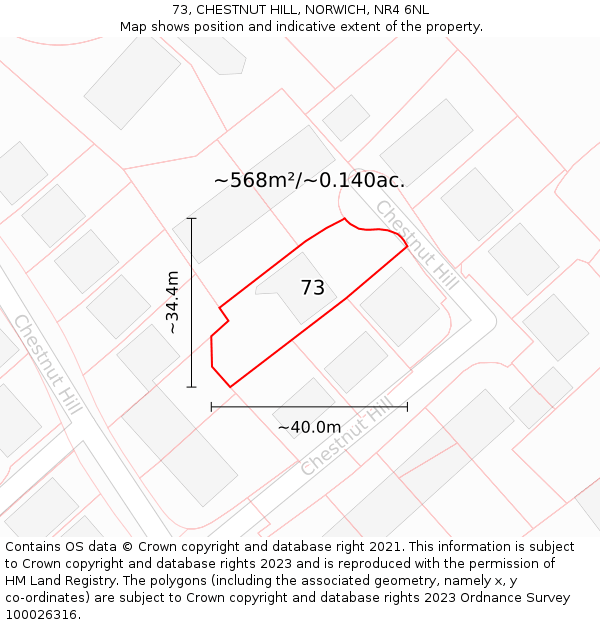 73, CHESTNUT HILL, NORWICH, NR4 6NL: Plot and title map