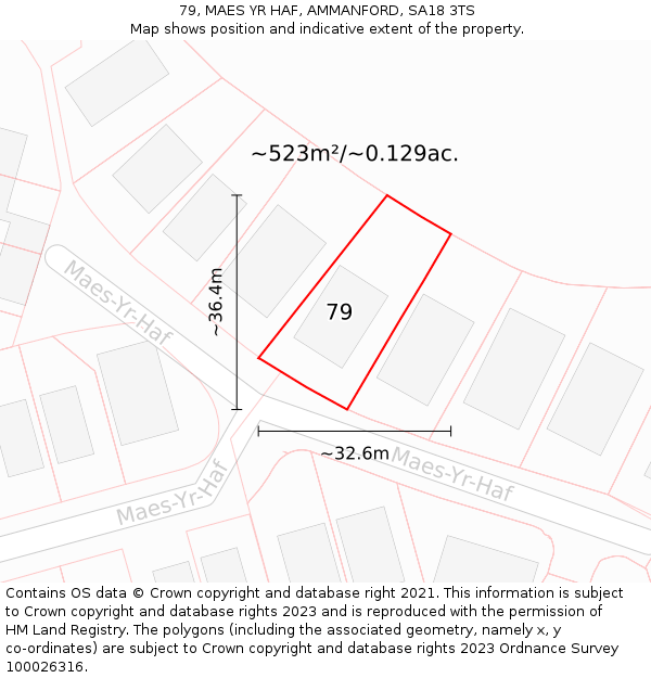 79, MAES YR HAF, AMMANFORD, SA18 3TS: Plot and title map