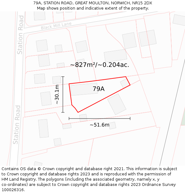 79A, STATION ROAD, GREAT MOULTON, NORWICH, NR15 2DX: Plot and title map