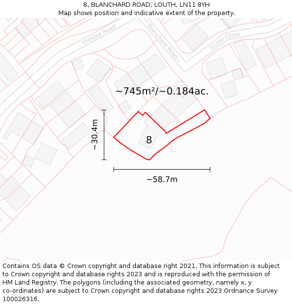 8, BLANCHARD ROAD, LOUTH, LN11 8YH: Plot and title map