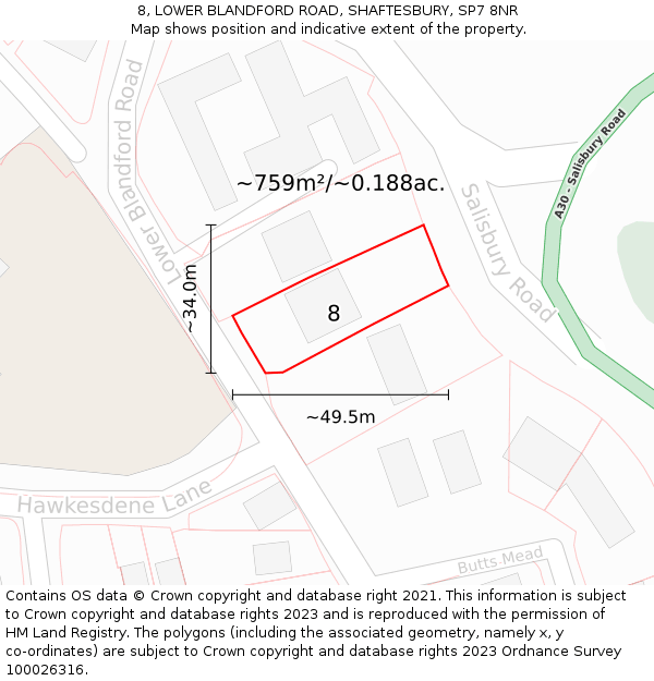 8, LOWER BLANDFORD ROAD, SHAFTESBURY, SP7 8NR: Plot and title map