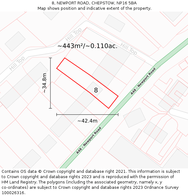 8, NEWPORT ROAD, CHEPSTOW, NP16 5BA: Plot and title map