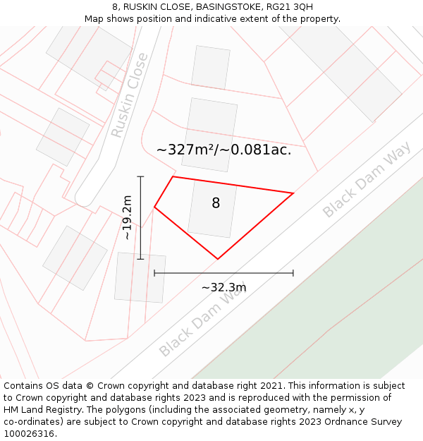 8, RUSKIN CLOSE, BASINGSTOKE, RG21 3QH: Plot and title map