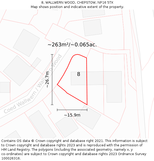 8, WALLWERN WOOD, CHEPSTOW, NP16 5TX: Plot and title map