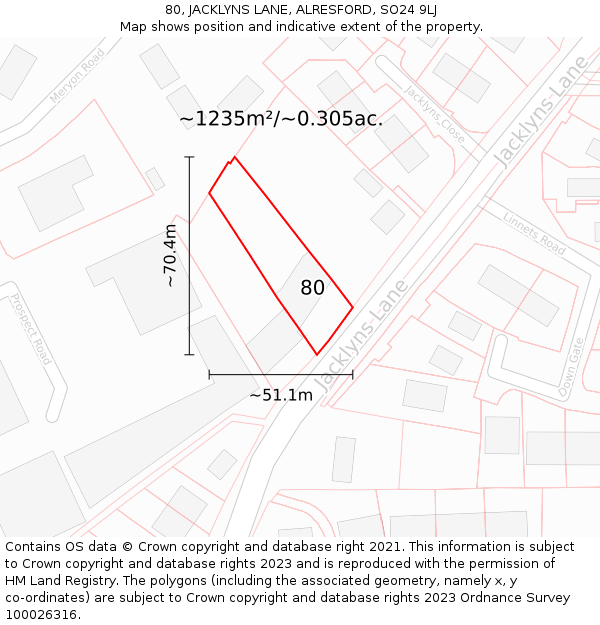 80, JACKLYNS LANE, ALRESFORD, SO24 9LJ: Plot and title map