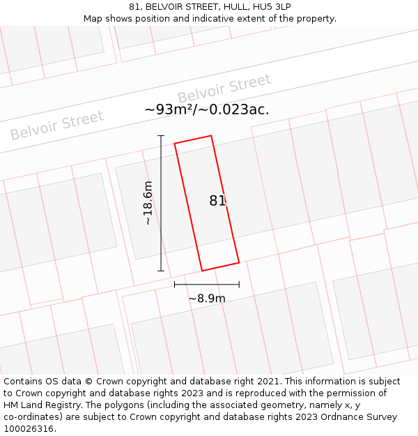 81, BELVOIR STREET, HULL, HU5 3LP: Plot and title map