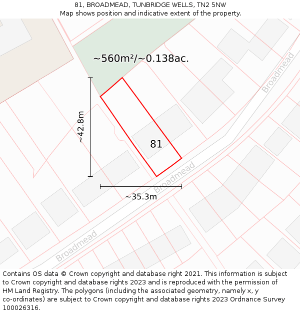 81, BROADMEAD, TUNBRIDGE WELLS, TN2 5NW: Plot and title map