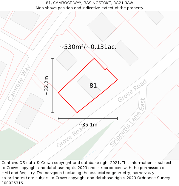 81, CAMROSE WAY, BASINGSTOKE, RG21 3AW: Plot and title map