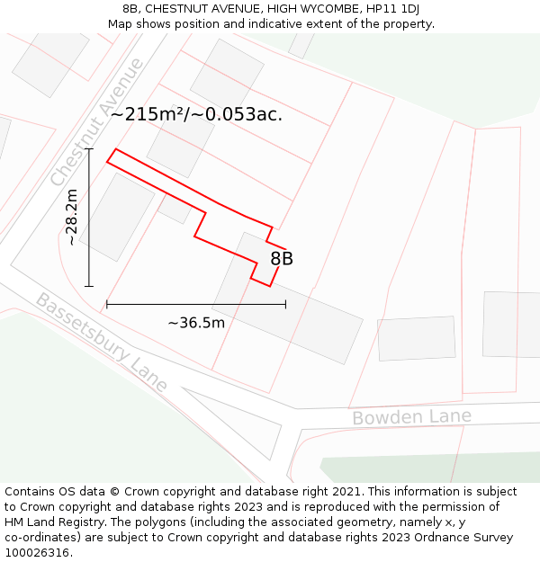 8B, CHESTNUT AVENUE, HIGH WYCOMBE, HP11 1DJ: Plot and title map