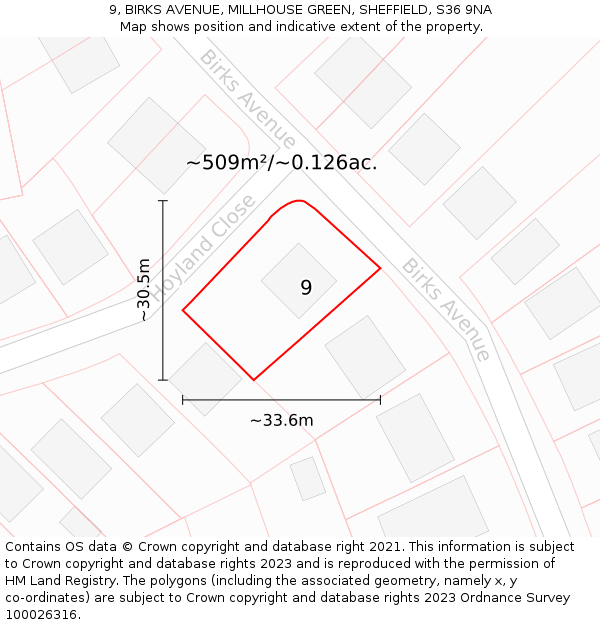 9, BIRKS AVENUE, MILLHOUSE GREEN, SHEFFIELD, S36 9NA: Plot and title map