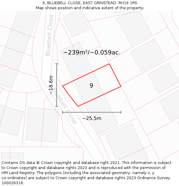9, BLUEBELL CLOSE, EAST GRINSTEAD, RH19 1RS: Plot and title map