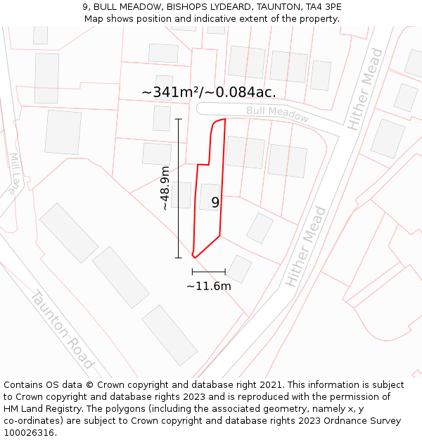 9, BULL MEADOW, BISHOPS LYDEARD, TAUNTON, TA4 3PE: Plot and title map