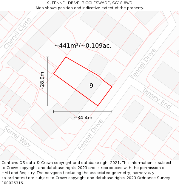 9, FENNEL DRIVE, BIGGLESWADE, SG18 8WD: Plot and title map