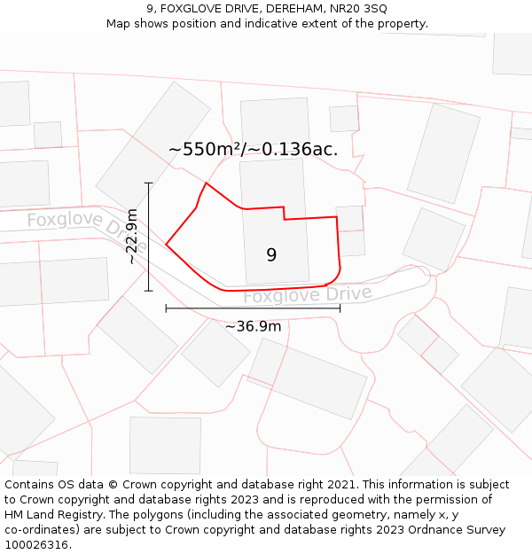 9, FOXGLOVE DRIVE, DEREHAM, NR20 3SQ: Plot and title map