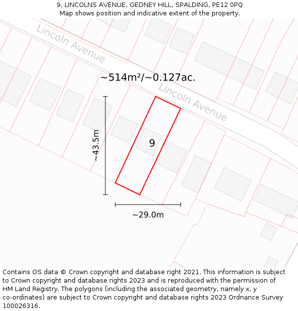 9, LINCOLNS AVENUE, GEDNEY HILL, SPALDING, PE12 0PQ: Plot and title map