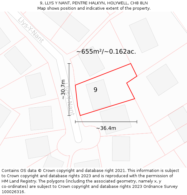 9, LLYS Y NANT, PENTRE HALKYN, HOLYWELL, CH8 8LN: Plot and title map