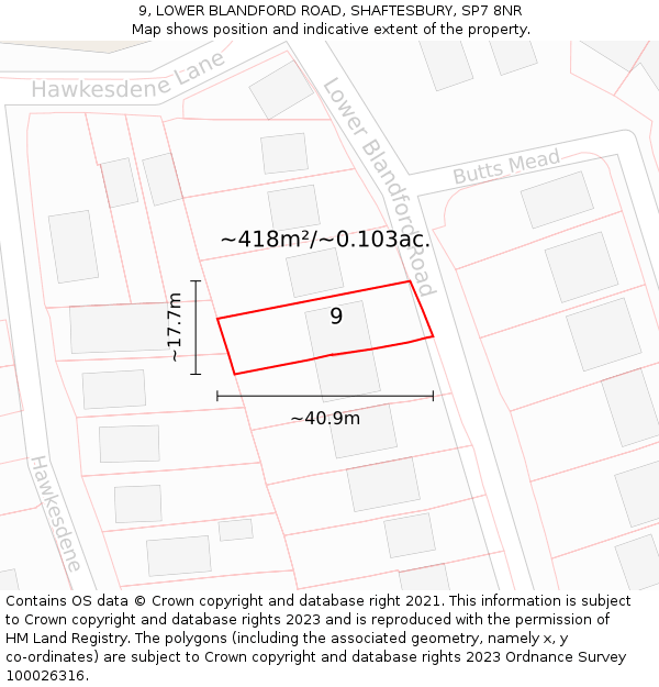 9, LOWER BLANDFORD ROAD, SHAFTESBURY, SP7 8NR: Plot and title map