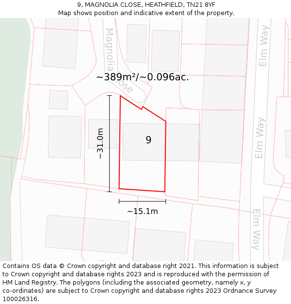 9, MAGNOLIA CLOSE, HEATHFIELD, TN21 8YF: Plot and title map