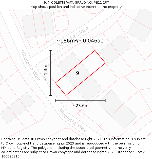 9, NICOLETTE WAY, SPALDING, PE11 1RT: Plot and title map