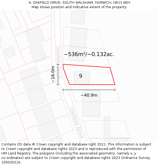 9, OAKFIELD DRIVE, SOUTH WALSHAM, NORWICH, NR13 6EH: Plot and title map