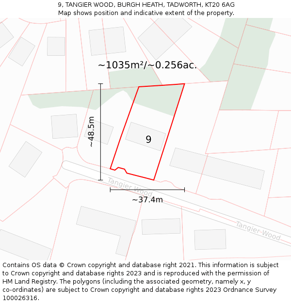 9, TANGIER WOOD, BURGH HEATH, TADWORTH, KT20 6AG: Plot and title map