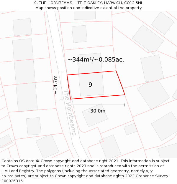 9, THE HORNBEAMS, LITTLE OAKLEY, HARWICH, CO12 5NL: Plot and title map