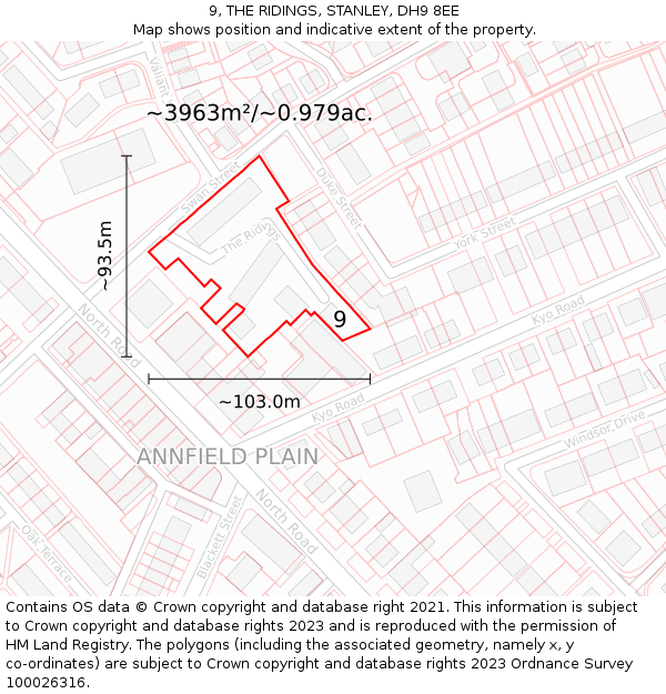 9, THE RIDINGS, STANLEY, DH9 8EE: Plot and title map