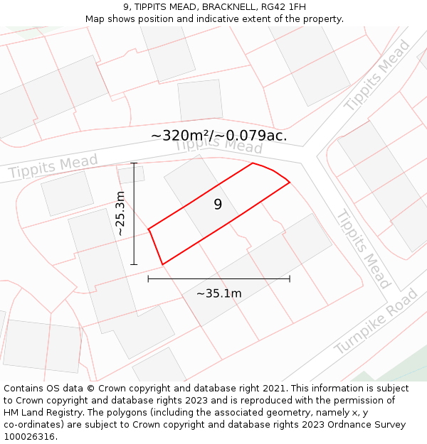 9, TIPPITS MEAD, BRACKNELL, RG42 1FH: Plot and title map