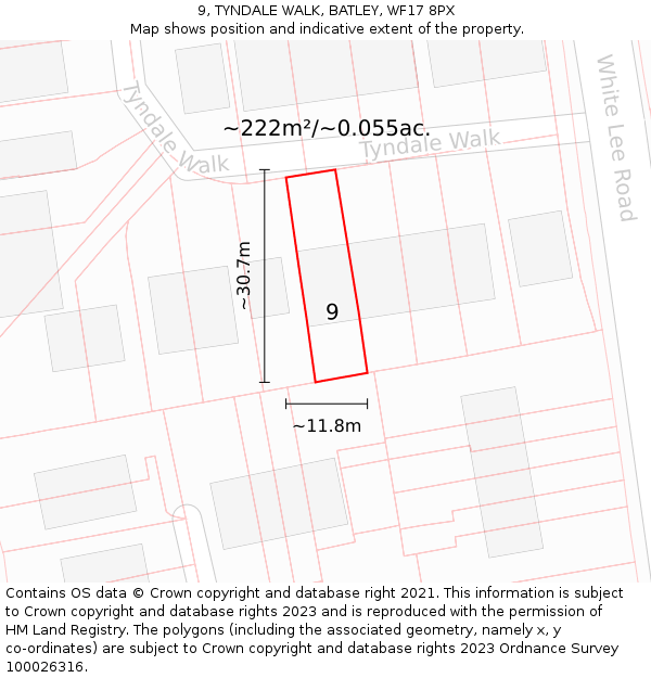 9, TYNDALE WALK, BATLEY, WF17 8PX: Plot and title map