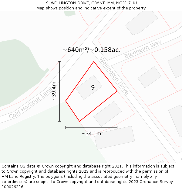 9, WELLINGTON DRIVE, GRANTHAM, NG31 7HU: Plot and title map