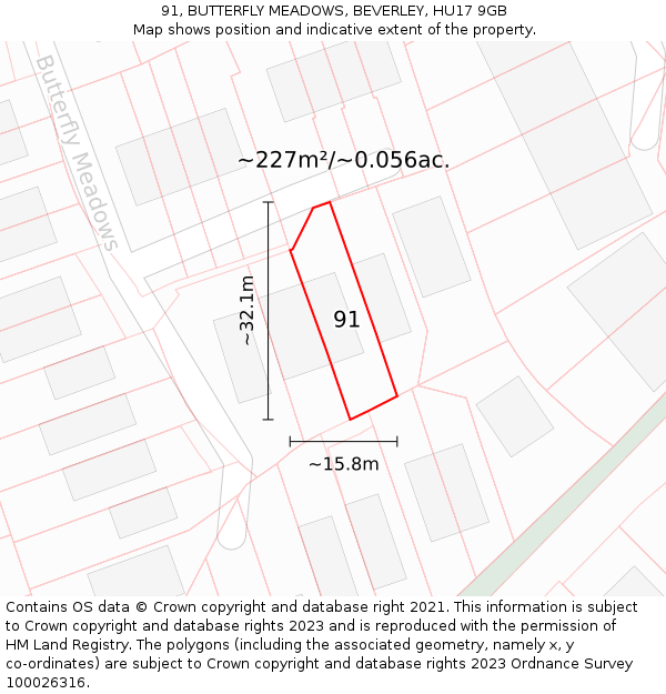 91, BUTTERFLY MEADOWS, BEVERLEY, HU17 9GB: Plot and title map