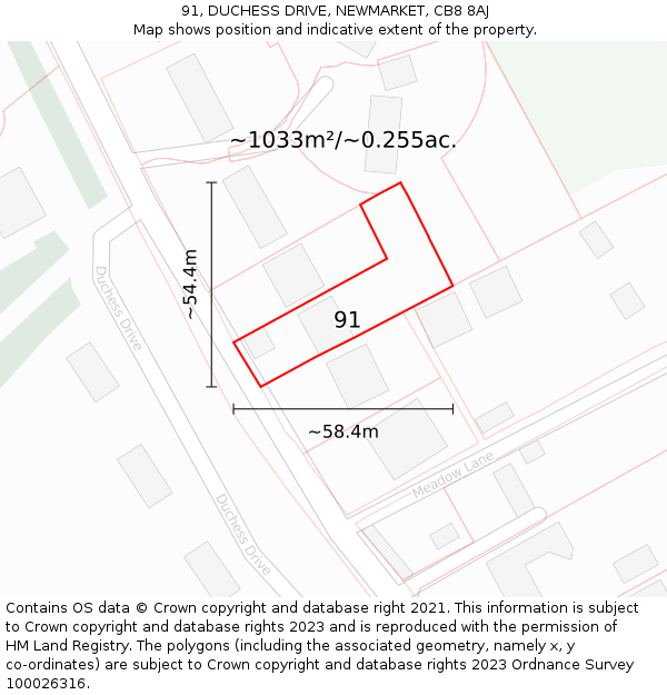 91, DUCHESS DRIVE, NEWMARKET, CB8 8AJ: Plot and title map