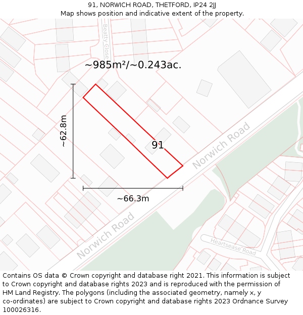 91, NORWICH ROAD, THETFORD, IP24 2JJ: Plot and title map