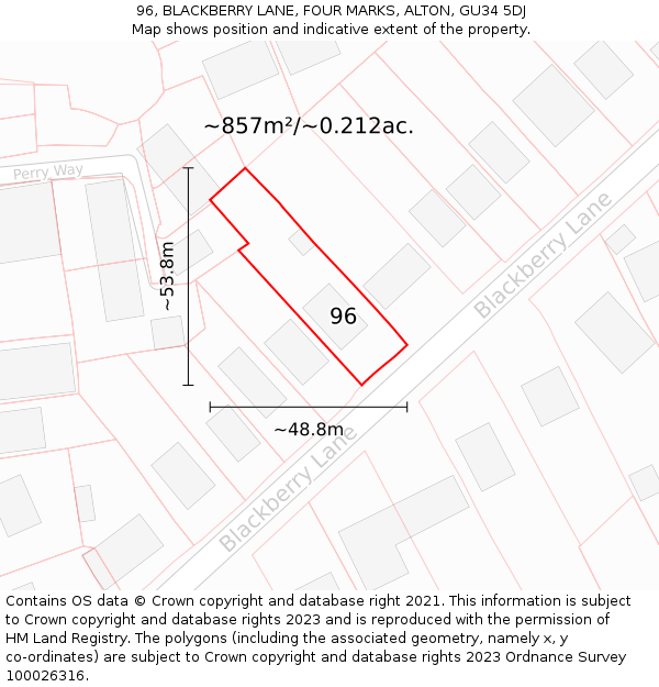 96, BLACKBERRY LANE, FOUR MARKS, ALTON, GU34 5DJ: Plot and title map