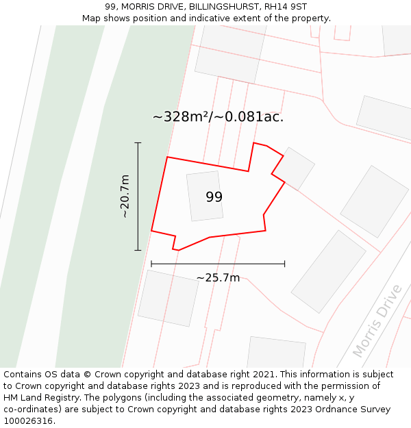 99, MORRIS DRIVE, BILLINGSHURST, RH14 9ST: Plot and title map