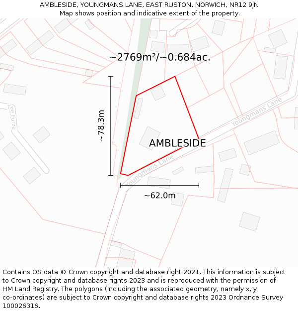 AMBLESIDE, YOUNGMANS LANE, EAST RUSTON, NORWICH, NR12 9JN: Plot and title map